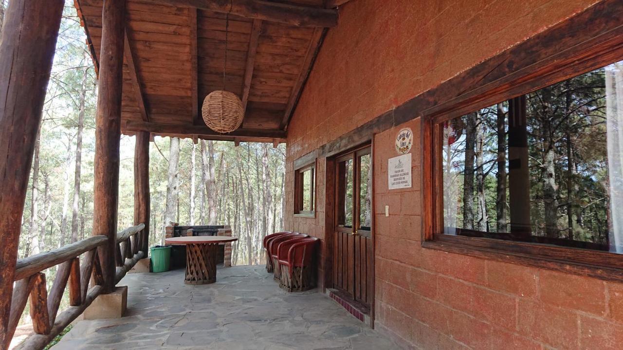 Cabanas Tapalpa Sierra Del Tecuan, Cabana Lince Villa Exterior photo