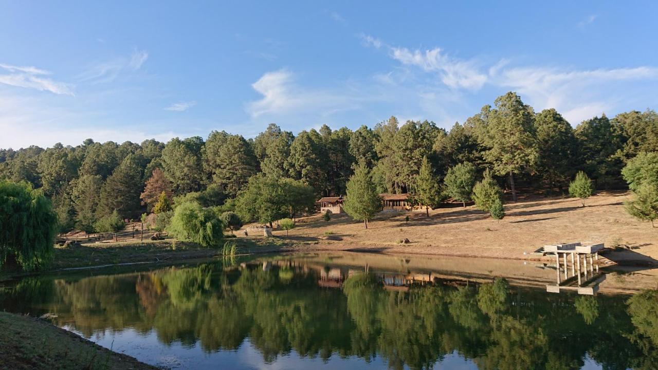 Cabanas Tapalpa Sierra Del Tecuan, Cabana Lince Exterior photo