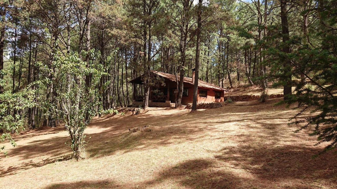 Cabanas Tapalpa Sierra Del Tecuan, Cabana Lince Exterior photo